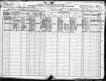 1920 Census, Minnesota, Roseau County, Clear River Township. Verdine and Rosetta are living with their son David.