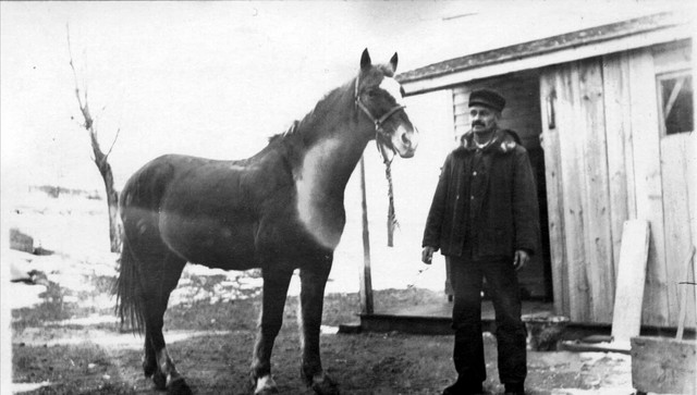 This is Lutherus Andre, the man who signed for both Marie and her brother Charles to enter America.  He first came to America from Sweden in 1889.  In 1892, he was working at the Forest Woodward farm in Cottage Grove.  For both Marie and Charles, he travelled to Sweden, arranged their passage, and signed for them to enter the country.  A letter from Charles Winberg indicates that immigrants without an escort or sufficient funds were sent back to their native countries.  (Original: Alice Robinson)