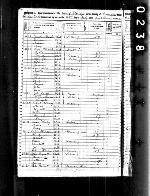 1850 Census, New York, Onandaga County, Elbridge. David Soules family. Three stops underneath the David Soules family we find Uriah Whaley and his wife Mariah (one of David's daughters) and their new son David. Looks like Mariah married quite young. In about five years, another of David's daughters, Eliza, will marry Cyrenus Whaley, Uriah's brother.