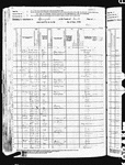 This 1880 census finds the Andrew Mattson family living in Springvale Township, Isanti County, MN. 