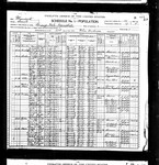In 1900, the son Alfred Mattson was double-counted; he was also shown over in Springvale Township, owning a farm there. This land is clearly the same as that from the 1880 census for his father Andrew, since the neighbors are definitely the same. Living with Alfred was Thomas Oline and wife Emily and their daughter Myrtle. Emily was most likely Alfred's sister, but we are still waiting for definite proof of this.