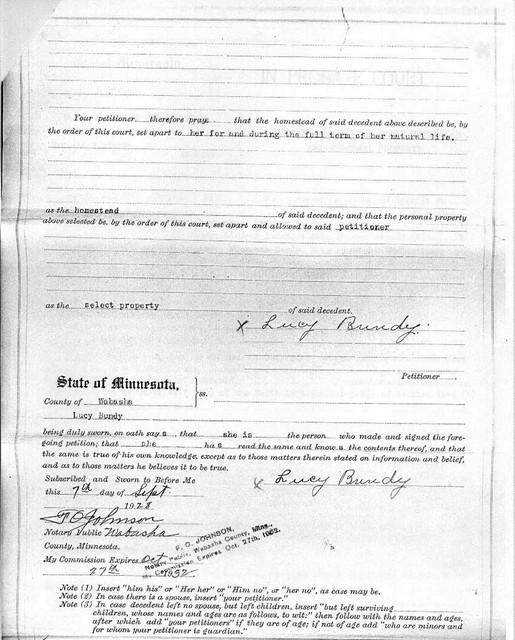 7 September 1928: Lucy Bundy petitioned the court to declare the farm as her homestead. Note that the will decreed that if the farm were her homestead, it could not be sold without her permission. Page 2.