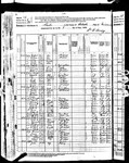 1880 Census, Minnesota, Wabasha County, Chester Township. Joseph Jerry was residing with his mother Elisabeth, and two of her grandchildren.