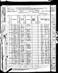 1880 Census, Minnesota, Wabasha County, Chester Township. Joseph Jerry was residing with his mother Elisabeth, and two of her grandchildren.